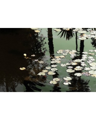 Photographie d'art de Zoé Pignolet 40x60 cm sur plexi