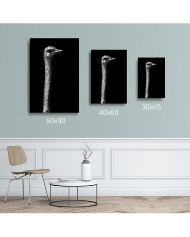 Photographie d'art de Guillaume Mordacq 30x45 cm sur alu