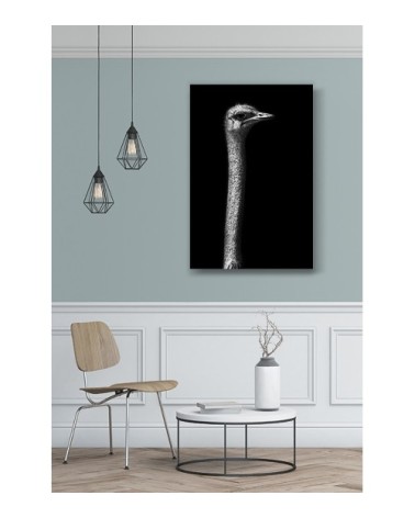 Photographie d'art de Guillaume Mordacq 30x45 cm sur alu