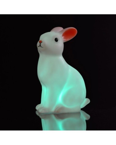 Veilleuse en forme de lapinou led multicolore