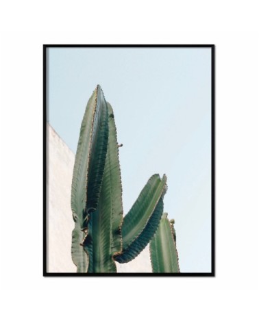 Affiche avec cadre noir - Couleur Cactus - 50x70