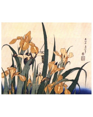 Tableau Iris et Sauterelle Katsushika Hokusai 50x60cm