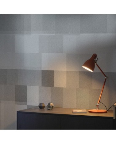 Papier peint panoramique geografik 340 x 250  gris