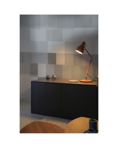 Papier peint panoramique geografik 340 x 250  gris