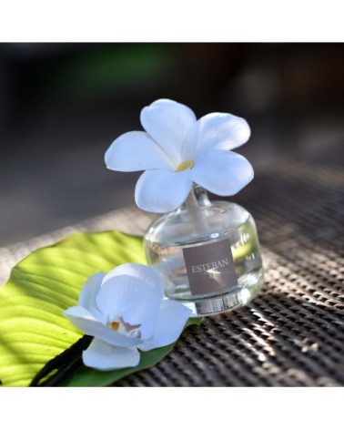 Fleur à parfum rechargeable