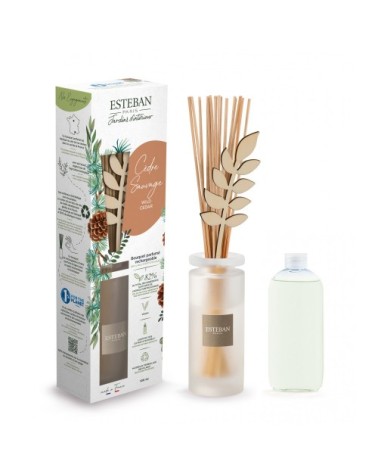 Bouquet parfumé 100ml