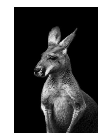 Photographie d'art de Guillaume Mordacq  60x90 cm sur plexi