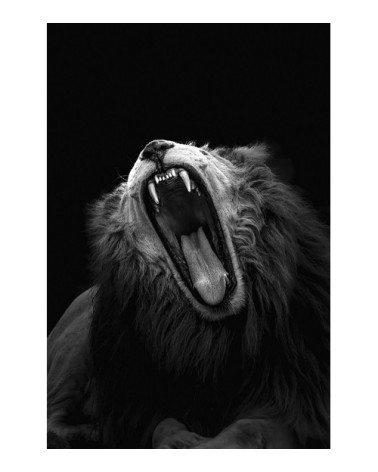 Photographie d'art de Guillaume Mordacq  60x90 cm sur plexi