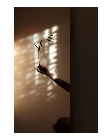 Photographie d'art de Zoé Pignolet 40x60 cm sur alu