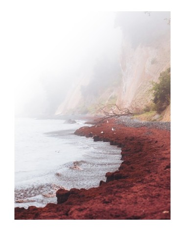 Photographie d'art d'Hugo Grandcolas 30x40 cm sur alu