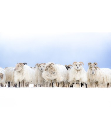 Photographie d'art d'Hugo Grandcolas 40x60 cm sur alu