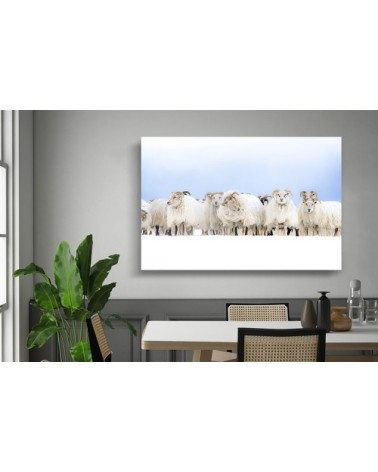 Photographie d'art d'Hugo Grandcolas 40x60 cm sur alu