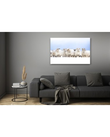 Photographie d'art d'Hugo Grandcolas 40x60 cm sur alu