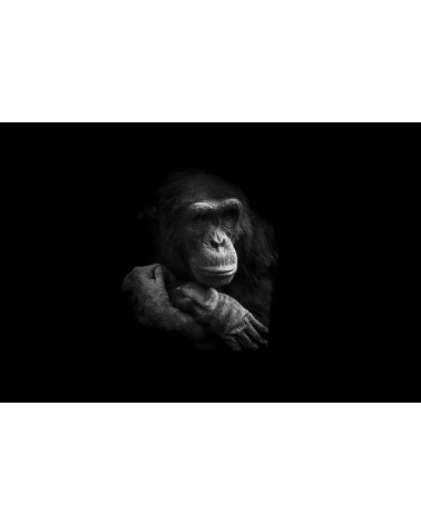 Photographie d'art de Guillaume Mordacq  60x90 cm sur alu