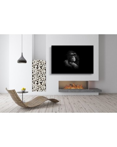 Photographie d'art de Guillaume Mordacq  60x90 cm sur alu