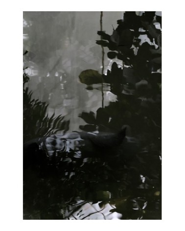 Photographie d'art de Zoé Pignolet 60x90 cm sur plexi