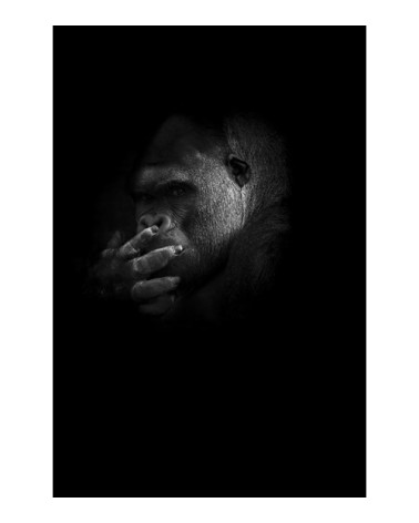 Photographie d'art de Guillaume Mordacq 30x45 cm sur alu