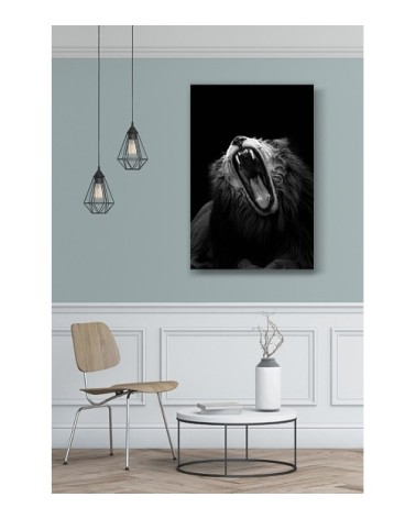 Photographie d'art de Guillaume Mordacq  60x90 cm sur alu