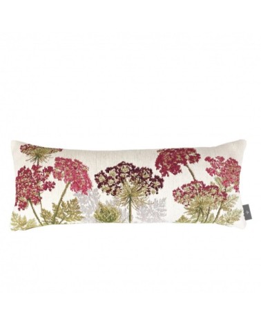 Cale reins les ombelles blanc