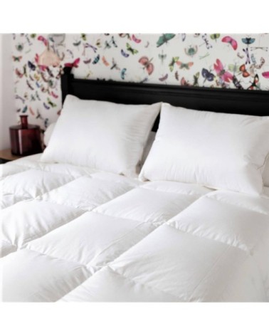 Couette naturelle bi-thermique en duvet et coton bio 260x240 cm