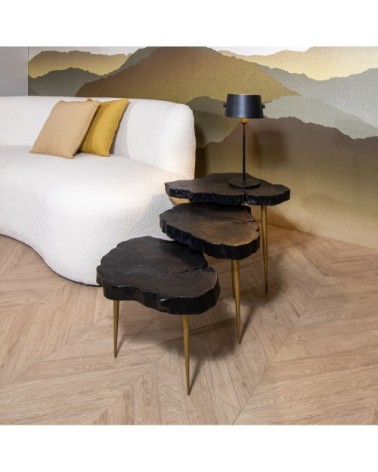 Set de 3 tables gigognes en bois de litchi