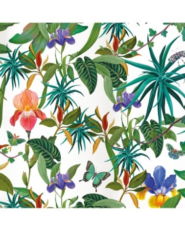 Papier peint Blushy Wild light 255x260