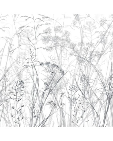 Papier peint panoramique dans les champs 425 x 250  gris