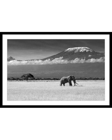 Affiche éléphant et kilimanjaro avec cadre noir 45x30cm