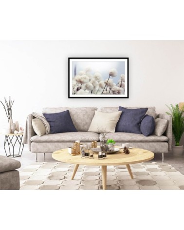 Affiche fleurs de coton au vent avec cadre noir 45x30cm