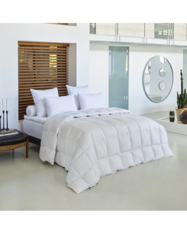 Couette Galaxie Light - 90% duvet d'oie - Tempérée 220x240 cm - Drouau