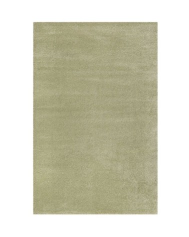 Tapis uni intemporel vert pistache pour salon, chambre  225x160