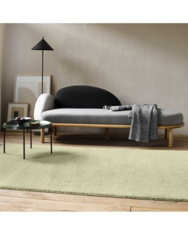 Tapis uni intemporel vert pistache pour salon, chambre  225x160
