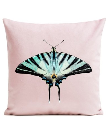 Coussin Papillon Zebra Butterfly Velours 40x40cm