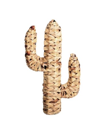 Cactus en jacinthe d'eau tressée H45cm