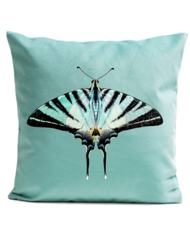 Coussin Papillon Zebra Butterfly Velours 60x60cm