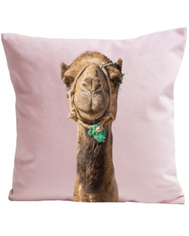 Coussin Smiling Camel Velours 60x60cm