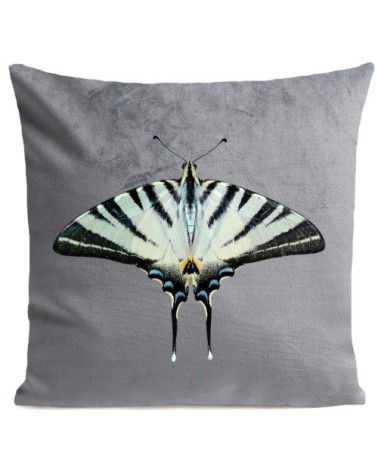 Coussin velours carré imprimé papillons gris clair 60x60
