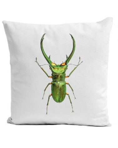 Coussin Insect I Velours 60x60cm