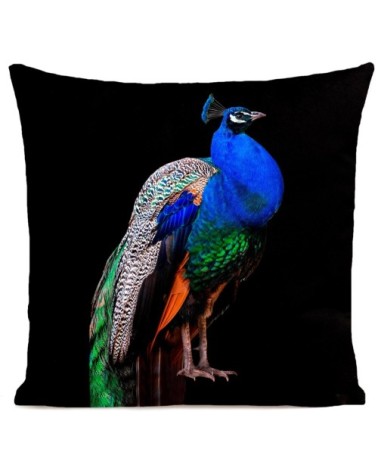 Coussin Oiseau William Velours 40x40cm