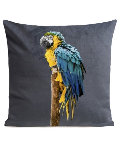 Coussin Perroquet Blue Parrot Velours 40x40cm