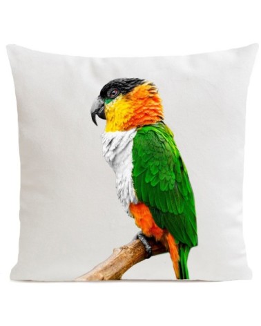 Coussin Perroquet Coco Velours 60x60cm