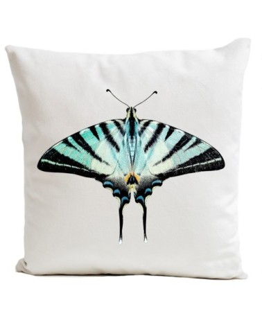 Coussin Papillon Zebra Butterfly Velours 40x40cm