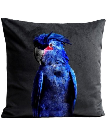 Coussin Perroquet Punky Parrot Velours 60x60cm