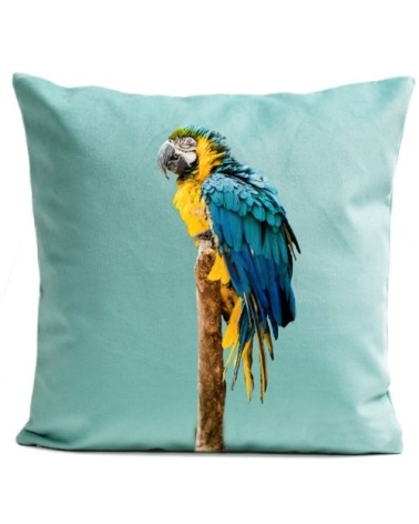 Coussin Perroquet Blue Parrot Velours 40x40cm
