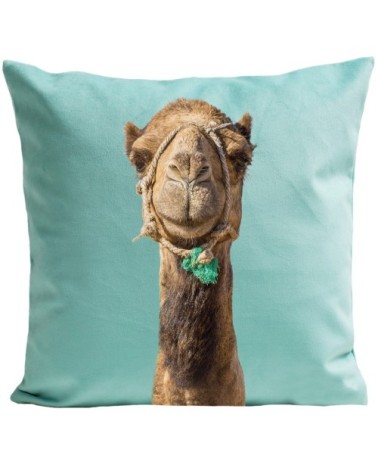 Coussin Smiling Camel Velours 60x60cm