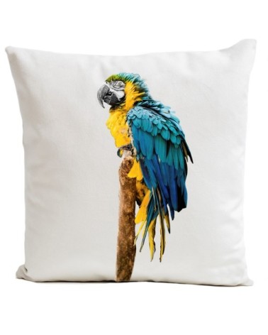 Coussin Perroquet Blue Parrot Velours 60x60cm