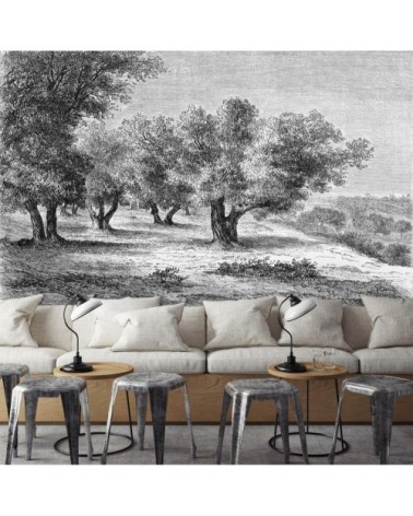 Papier peint panoramique Gravure les oliviers 390x270cm