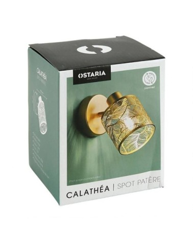 Applique spot orientable calathéa doré