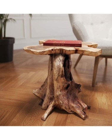 Table basse souche d'arbre en teck massif