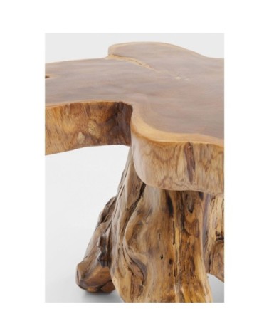 Table basse souche d'arbre en teck massif